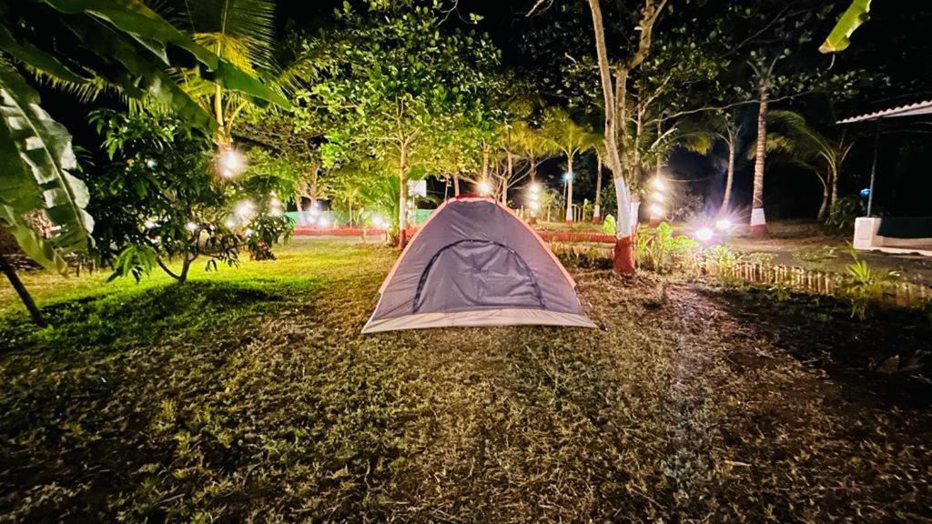 Stay On The Way Resort Mandwa Alībāg Dış mekan fotoğraf